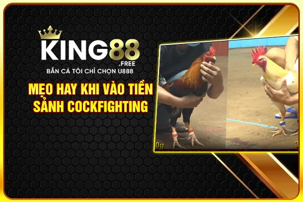 Mẹo hay khi vào tiền sảnh Cockfighting