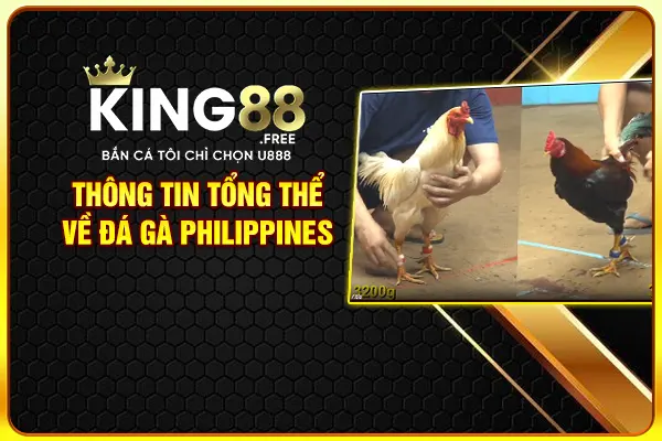 Thông tin tổng thể về đá gà Philippines